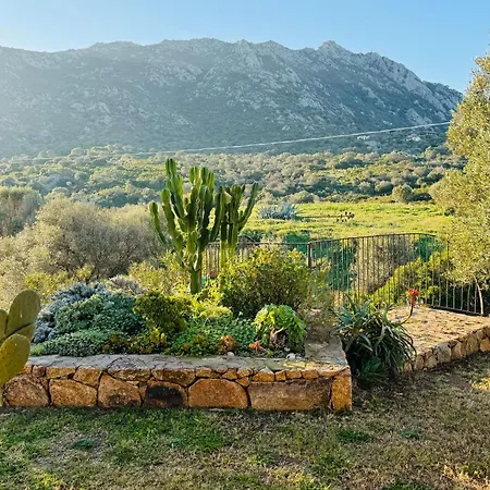 The Hideout Porto Rotondo