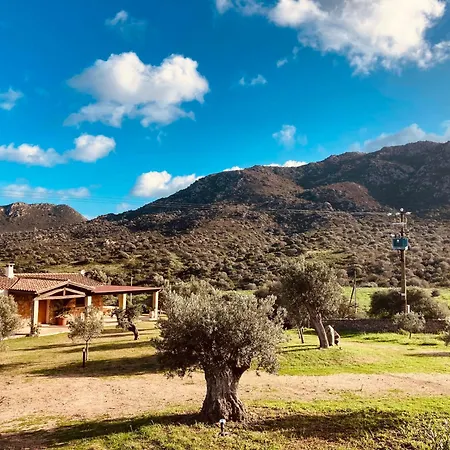 The Hideout Porto Rotondo * 골푸아랑시